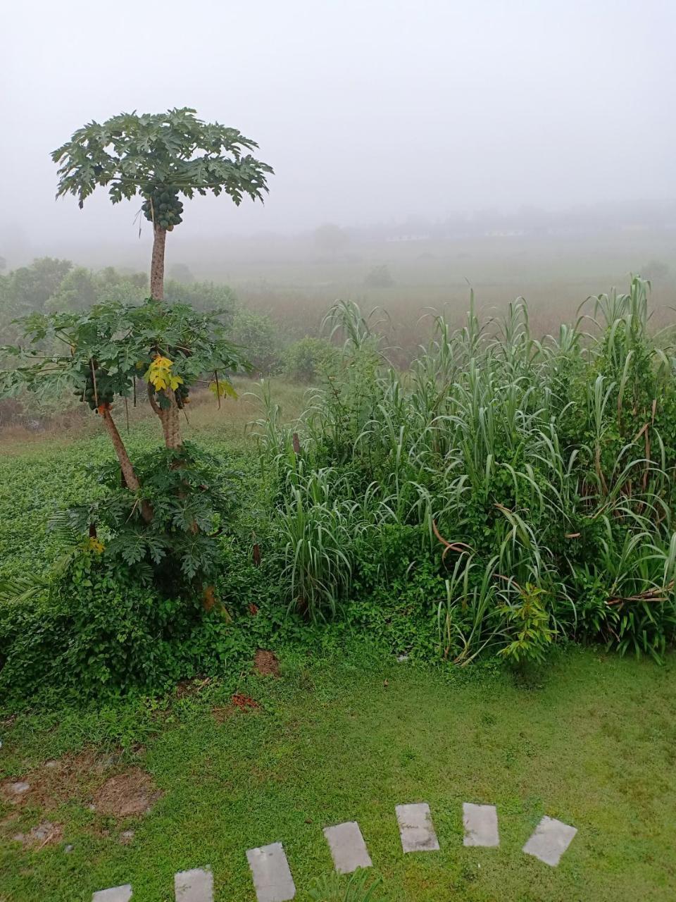 Greenfield Residence Prachinburi Zewnętrze zdjęcie